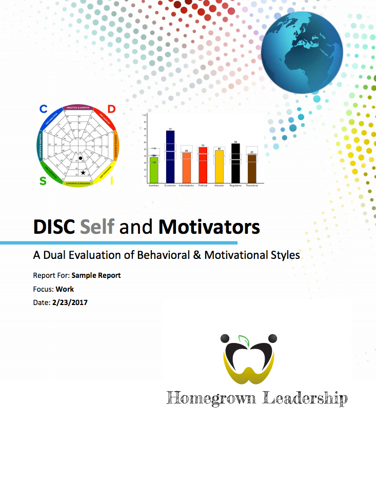 Disc And Motivators Homegrown Leadership
